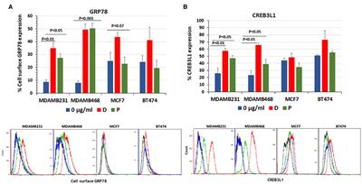 Chemotherapy Controls Metastasis Through Stimulatory Effects on GRP78 and Its Transcription Factor CREB3L1